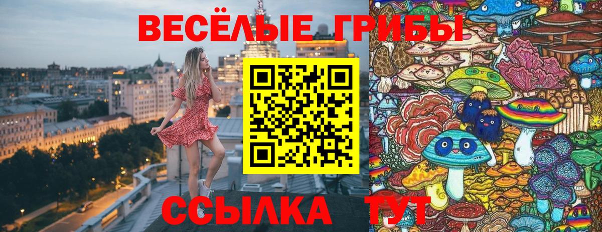 Псилоцибиновые грибы Psilocybe Чехов